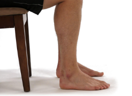 Toe Raises